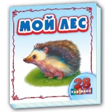 Дивлюсь і вчусь: Мой лес (р) Дивлюсь і вчусь: Мой лес (р)