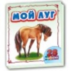 Дивлюсь і вчусь: Мой луг (р) Дивлюсь і вчусь: Мой луг (р)