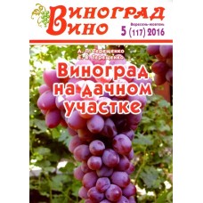 Виноград. Вино Виноград. Вино