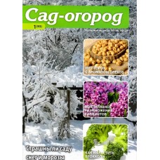 Сад - огород Сад - огород